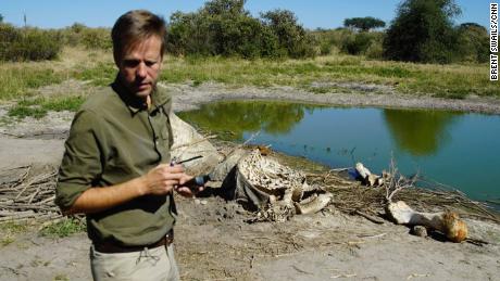 Kembalinya Botswana ke perburuan gajah tidak akan menyelesaikan masalah, kata mantan Presiden
