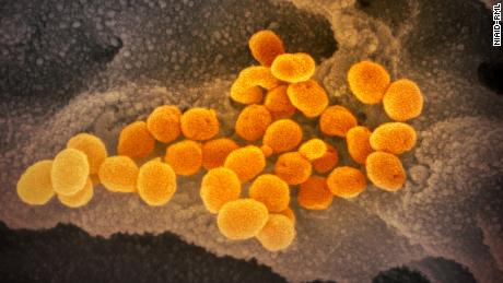 Pandemi Coronavirus: Pembaruan dari seluruh dunia