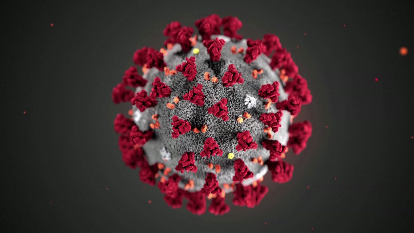 Ilustrasi ini, dibuat di Pusat Pengendalian dan Pencegahan Penyakit (CDC), mengungkapkan morfologi ultrastruktural yang diperlihatkan oleh coronavirus. 